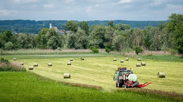Feldarbeit – Im Umland