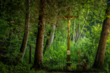 Wegkreuz am Jaxhof – Im Umland