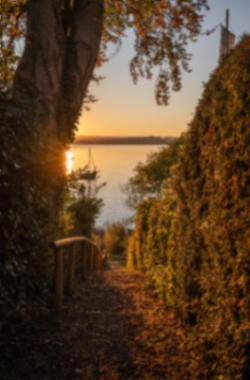 Abendweg zum See in Breitbrunn – Am Ufer