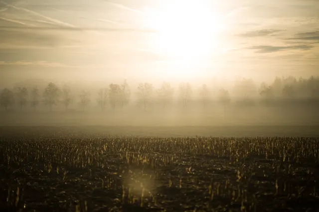 Nebelgang – Im Umland