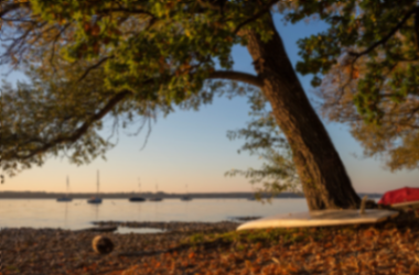 Abendstimmung in Breitbrunn – Am Ufer