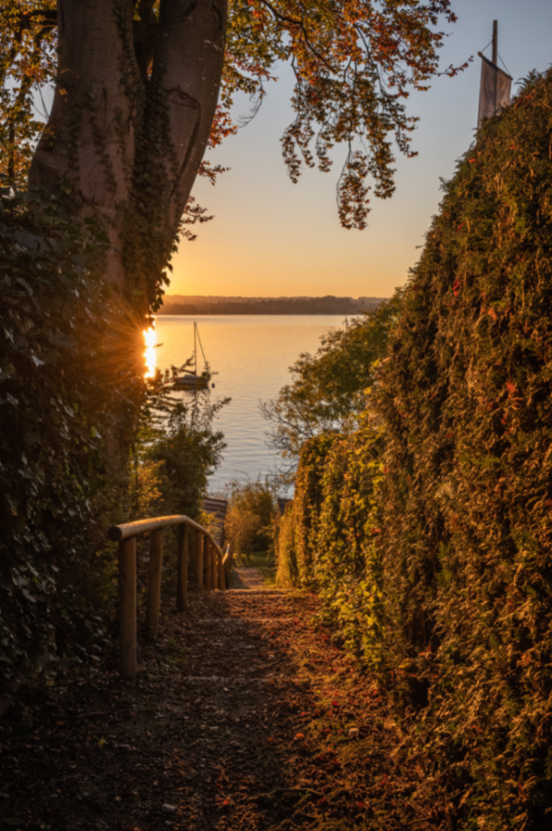 Abendweg zum See in Breitbrunn – Am Ufer