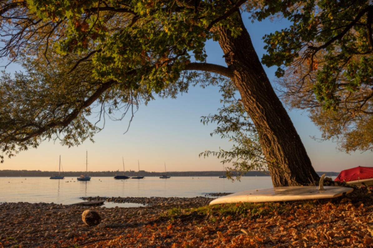 Abendstimmung in Breitbrunn – Am Ufer